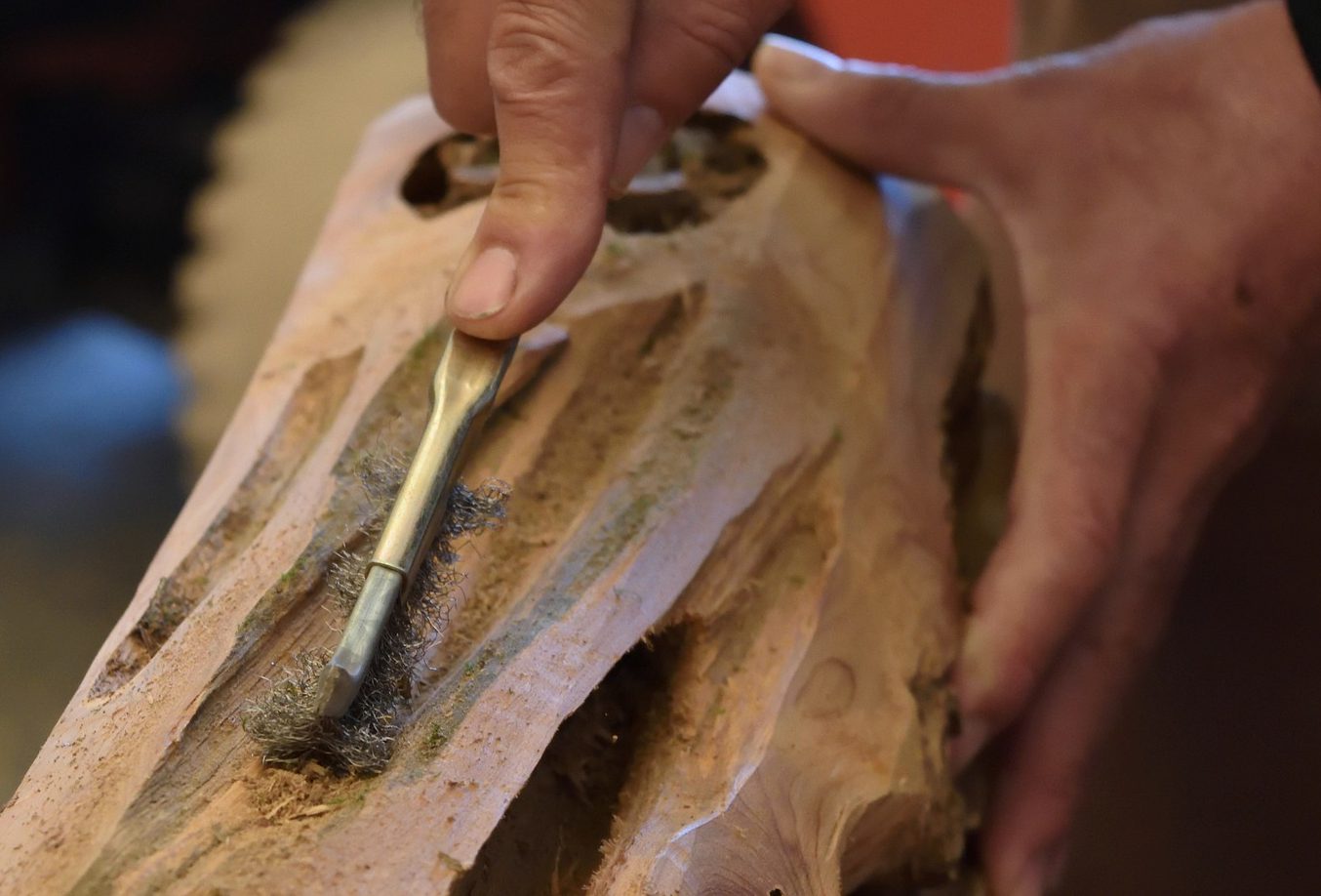 The 6 Best Wood Carving Tools for Beginners In 2023