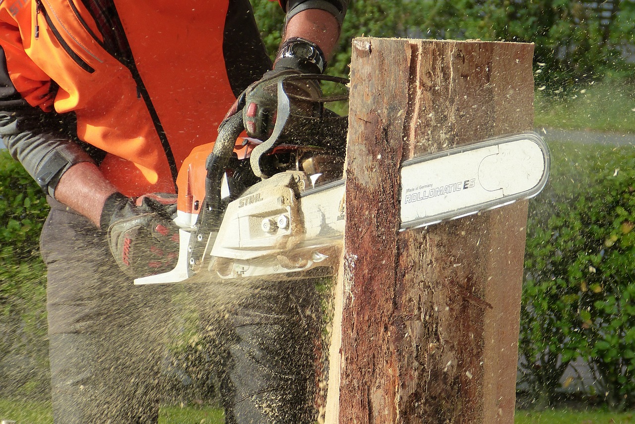 Wood Carving Power Tools: From Chisels to Chainsaws